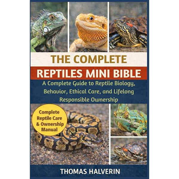 Lizards (CompanionHouse Books) Beginner Reptile Guide for Kids